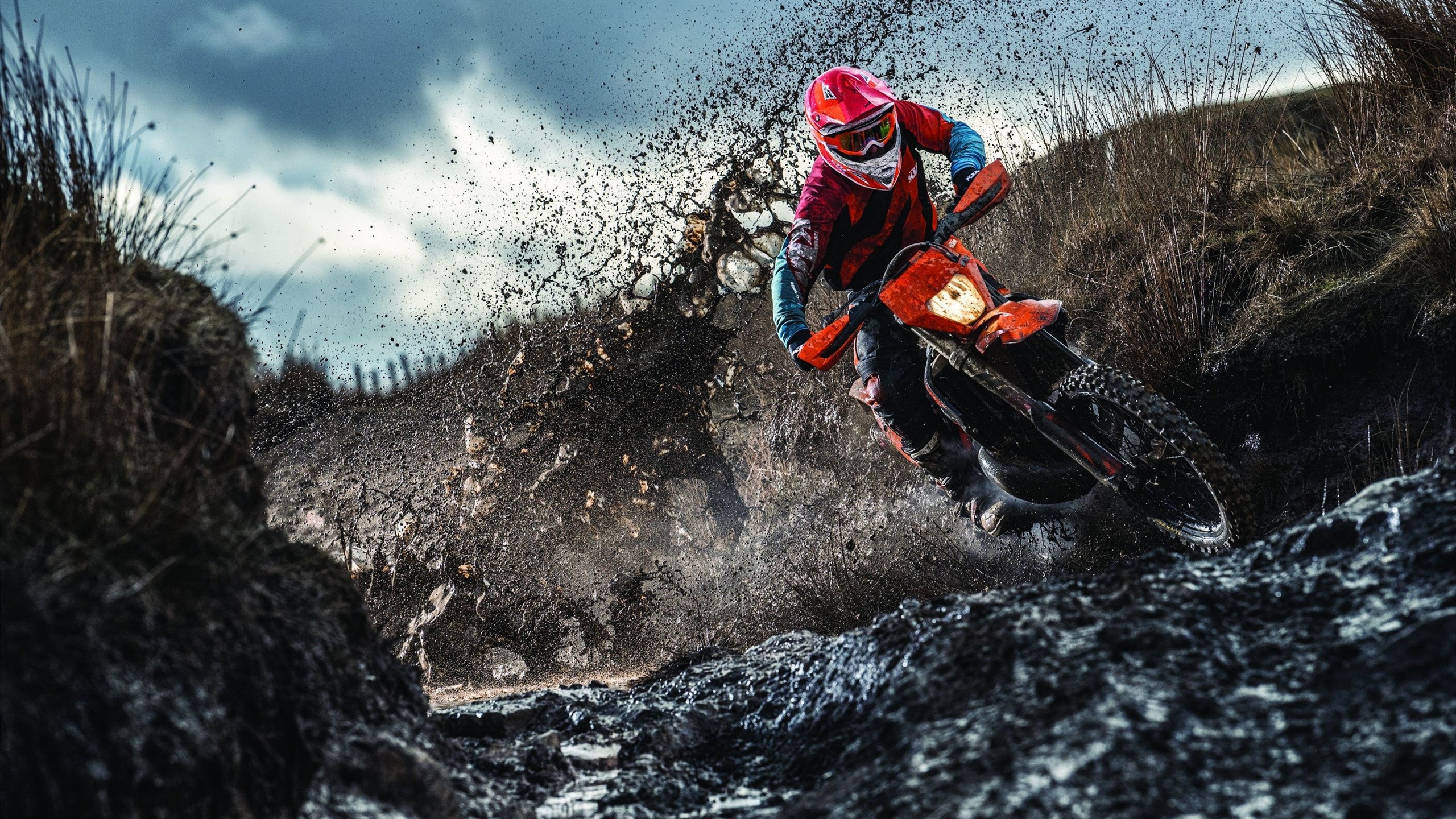 终于找到！施罗德无法成为NBA球星的原因了！威少也无能为力，施罗德为什么被禁赛